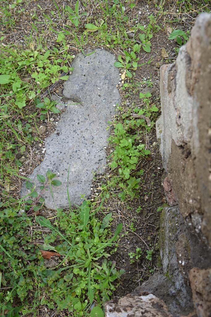 IX.5.18 Pompeii. March 2018. Room “a”, entrance corridor, detail of threshold near east side.
Foto Annette Haug, ERC Grant 681269 DÉCOR.
