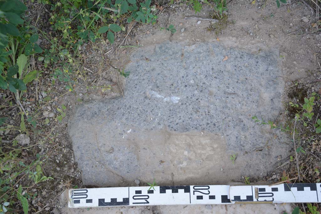 IX.5.18 Pompeii. May 2017. Room f, sides of doorway threshold, detail from south end.
Foto Christian Beck, ERC Grant 681269 DÉCOR.

