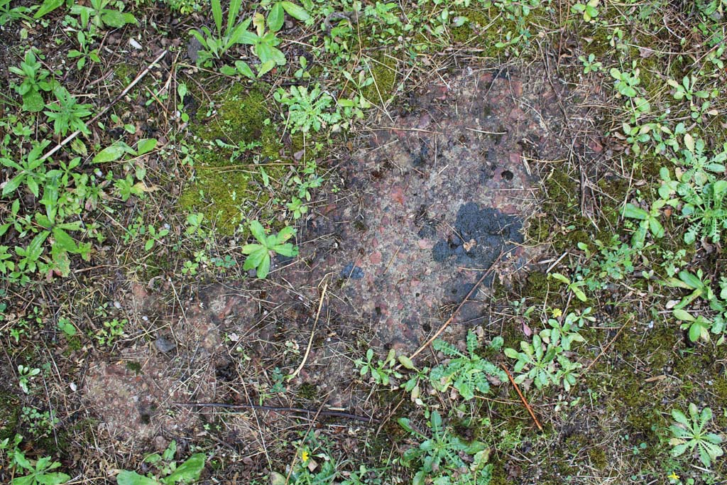 IX.5.18 Pompeii. May 2019. Room “g”, flooring in cubiculum.
Foto Christian Beck, ERC Grant 681269 DÉCOR.
