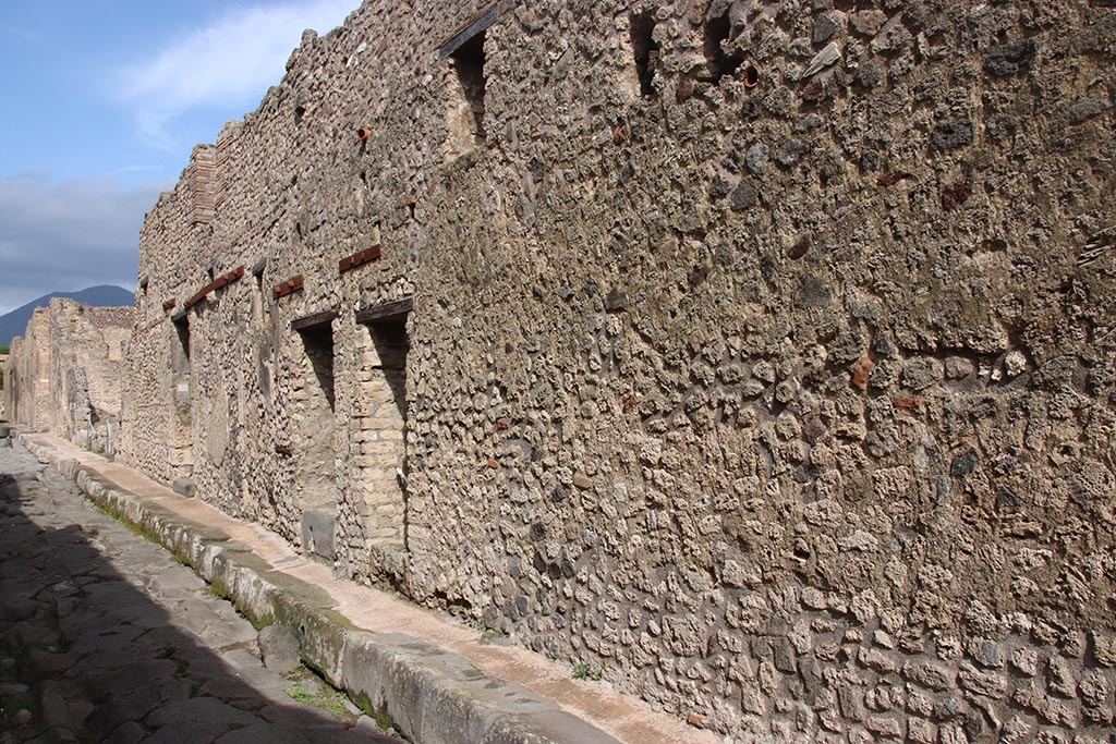 Vicolo di Tesmo, Pompeii. October 2024. Looking north along Insula 6 on east side of Vicolo di Tesmo. Photo courtesy of Klaus Heese