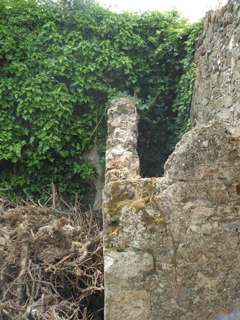 IX.6.g Pompeii. May 2005. Looking south across top of small room “i”, from room “h” in south-east corner of atrium.