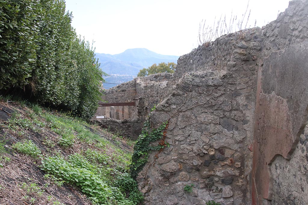 IX.7.12 Pompeii. October 2024. 
Room 5, looking towards remnants of south wall in triclinium, in south-west corner, and through into west side of atrium 3, and across cubiculum 4, towards rear wall of IX.7.13.  Photo courtesy of Klaus Heese.
