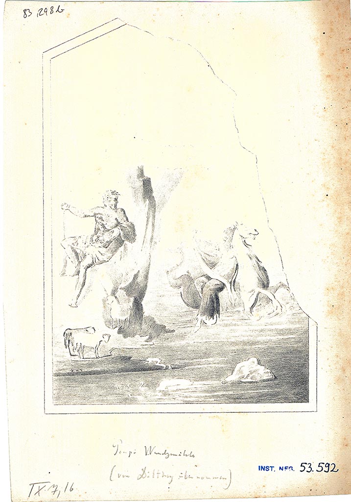 IX.7.12 Pompeii (although numbered on drawing as IX.7.16). Triclinium 5, centre of north wall.
Copy of painting of Polyphemus sitting on a rock and Galatea riding a sea horse.
DAIR 83.298b. Photo © Deutsches Archäologisches Institut, Abteilung Rom, Arkiv.  
