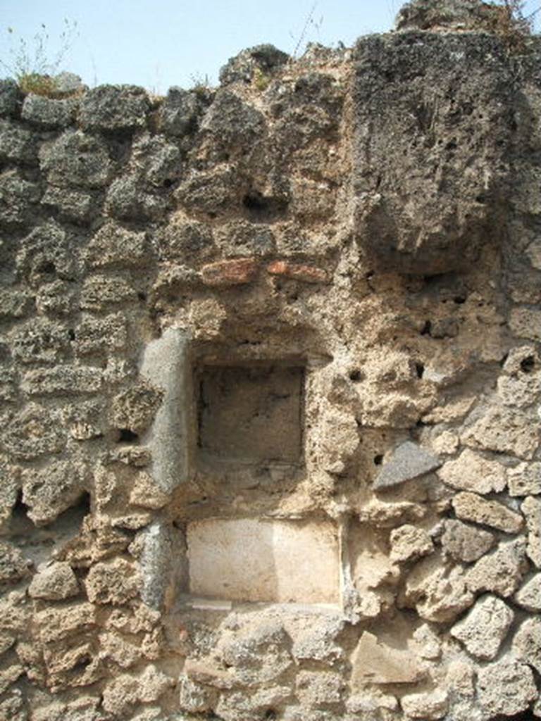 IX.7.24 Pompeii. May 2005. West wall with square niches.
According to Mau, two niches were found in the right wall of the shop, above the podium. 
The floor of the lower of these was formed by a sheet of grey marble; the rest was of white stucco. 
The upper was all faced in marble, and also part of the wall (above it at least by 0.18) but nothing remained of this facing, other than a few small pieces and it seemed that it was removed by antique excavators.
It was most likely that the niche was adorned in the guise of a temple, and would have contained the images of the Lares.
See Mau in BdI, 1882, (p.148)


