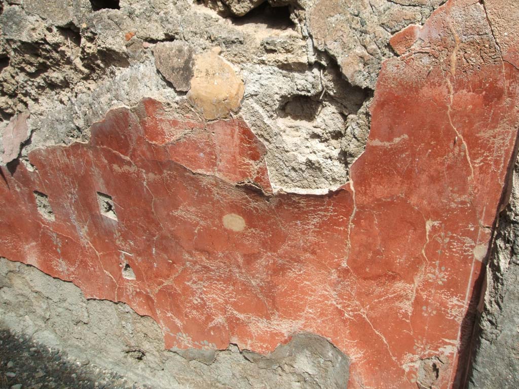 IX.7.25 Pompeii. May 2005. Room “l” (L), north wall of ala/triclinium.