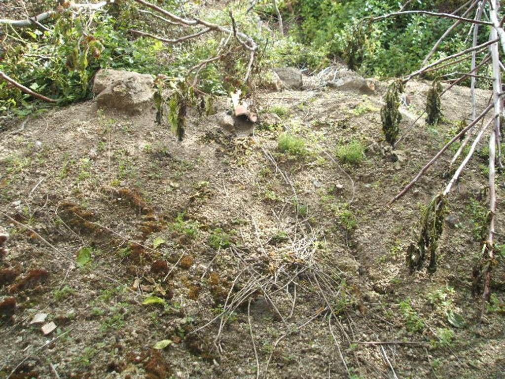 IX.7.25 Pompeii. May 2005. Looking into unexcavated area from IX.7.25