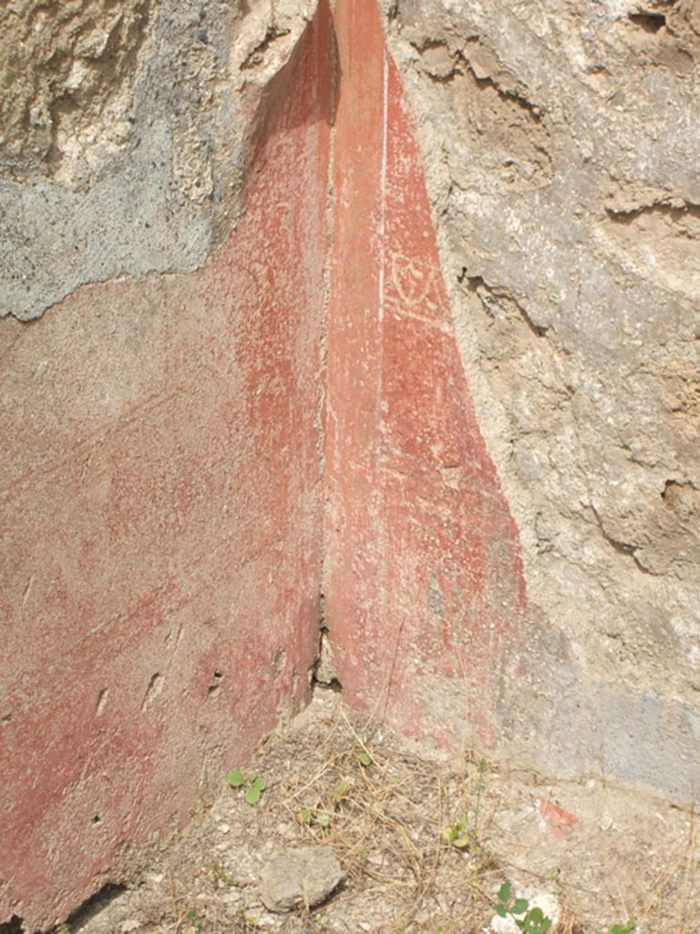 IX.7.25 Pompeii. May 2005. 
Remains of painted decoration on red background with “carpet design” from north-west corner of atrium “2”.
