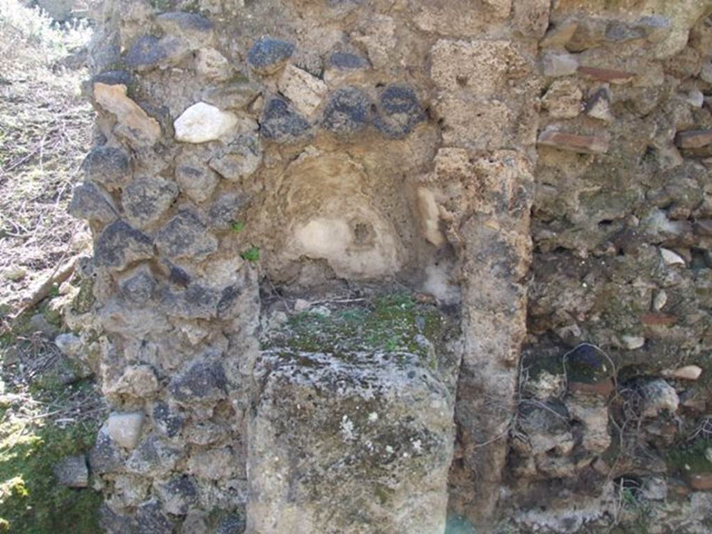 IX.8.8 Pompeii. March 2009. Street altar with small semicircular niche built into the wall above, on north side of entrance doorway. According to NdS, on the left above the niche on a layer of flaked lime but hardly visible, were the painted remains of the upper part of a Genius (?) with cornucopia. On this was written in black letters SALV..  In the centre was a large cornucopia surrounded by garlands. At the top, the layer of lime had fallen, and on an underneath layer written in black lettering, wording was visible -
SALVTEI
C
See Notizie degli Scavi, 1888, p.521-2
