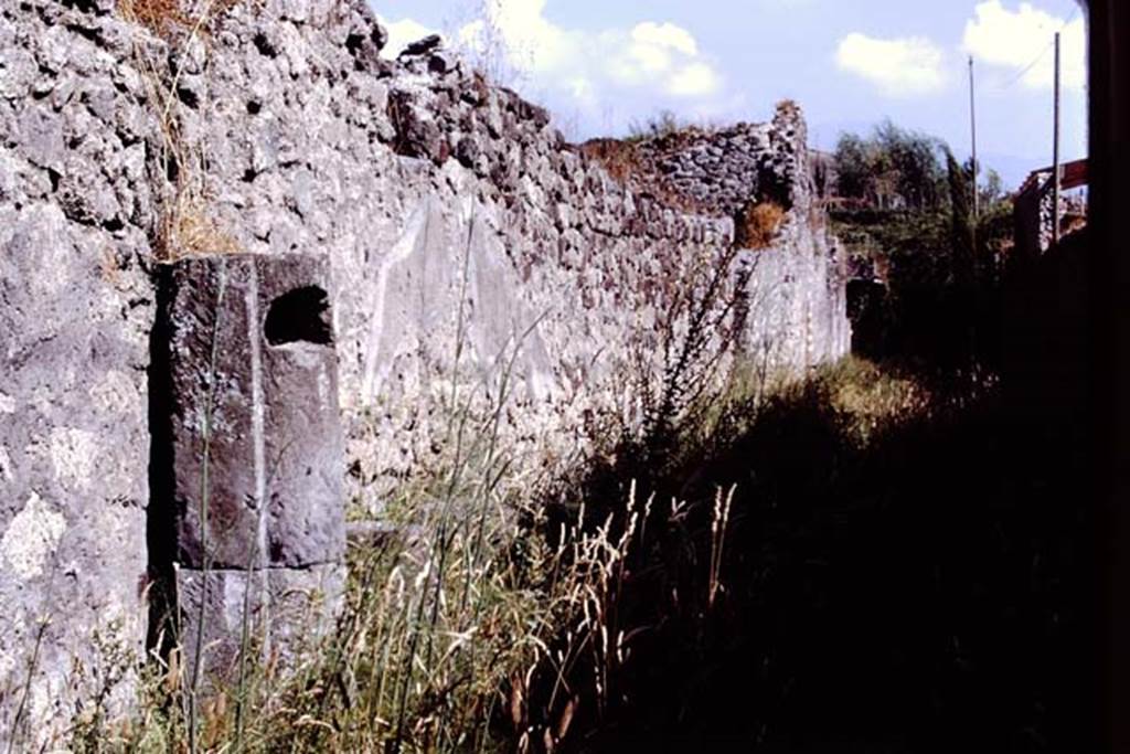 IX.9.1 Pompeii, (side wall). 1978. Roadway, looking south. Photo by Stanley A. Jashemski.   
Source: The Wilhelmina and Stanley A. Jashemski archive in the University of Maryland Library, Special Collections (See collection page) and made available under the Creative Commons Attribution-Non Commercial License v.4. See Licence and use details. J78f0278
