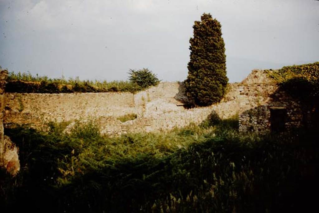 IX.9.4 Pompeii. 1961. Looking south-east across garden towards IX.9.6. Photo by Stanley A. Jashemski.
The doorway to the latrine on the south side of the garden, is on the right. 
Source: The Wilhelmina and Stanley A. Jashemski archive in the University of Maryland Library, Special Collections (See collection page) and made available under the Creative Commons Attribution-Non Commercial License v.4. See Licence and use details.
J61f0658
According to Jashemski –
“Attached to the east wall was a masonry triclinium, now destroyed, unlike the majority at Pompeii for the lectus summus was longer than the lectus imus.
The rectangular table between the couches was covered with a piece of white marble. The couches were finished with red stucco.
Near the west wall of the garden, opposite the triclinium, was a small masonry pulvinate altar. 
Nearby, attached to the west wall was a masonry hearth, protected by a small vault.”
See Jashemski, W. F., 1993. The Gardens of Pompeii, Volume II: Appendices. New York: Caratzas. (p.246).

According to Soprano –
“Il triclinio era addossato al muro orientale del giardino. Eccezionalmente ha il l. summus piu lungo del l. imus, il che si verifica a Pompei, come ho precedentemente notato, solo in un altro case (see I.8.8/9). 
Il piano dei tre letti era inclinato; sul muro di fronte era situato un larario rivestito di stucco attualmente distrutto e, a breve distanza, in un angolo del giardino, stava un piccolo focolare protetto da una volticina.
La mensa, rettangolare, era ricoperta da una lastra di marmo bianco. I tre letti, il muro cui era addossato il l.medius e la mensa erano rivestiti di intonaco rosso, ma di esso non restano oggi che piccole tracce lungo le pareti interne dei tre letti.
See Soprano, P. (1950). I triclini all’aperto di Pompei. (In Pompeiana, raccolta di studi per il secondo centenario degli scavi di Pompei. Napoli, Gaetano Macchiaroli, Editore, P. 303-4, no.20).

