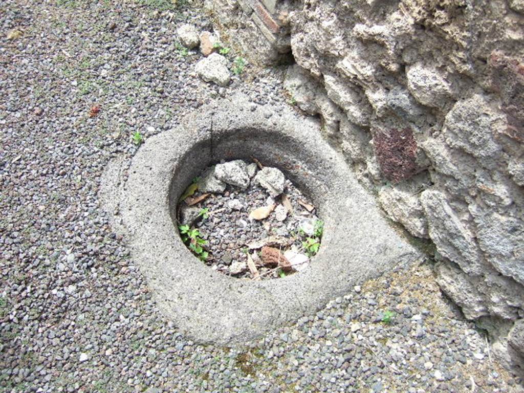 IX.9.6 Pompeii. May 2006. Cistern mouth in entrance corridor.
