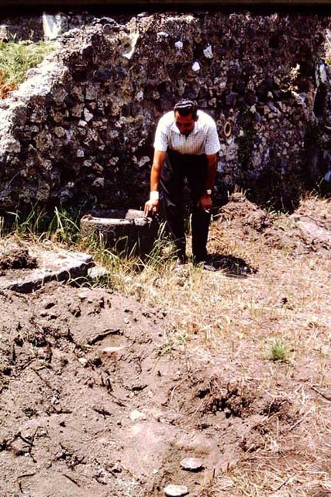 IX.9.6/10 Pompeii. 1964. Pot near the west wall, and some filled root cavities, partly dug out after three days.  Photo by Stanley A. Jashemski.
Source: The Wilhelmina and Stanley A. Jashemski archive in the University of Maryland Library, Special Collections (See collection page) and made available under the Creative Commons Attribution-Non Commercial License v.4. See Licence and use details.
J64f2042
