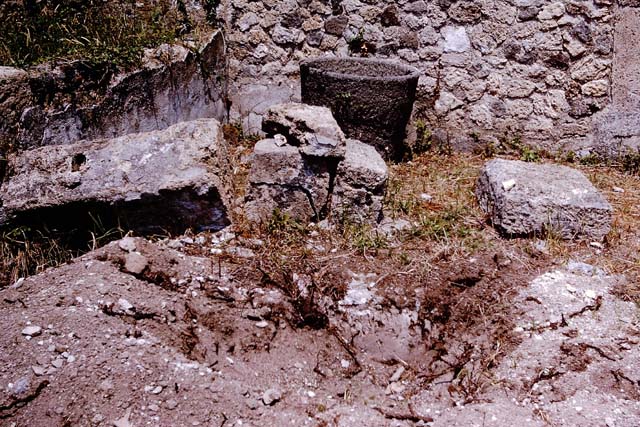 IX.9.6/10 Pompeii. 1964. Filled root cavities. Photo by Stanley A. Jashemski.
Source: The Wilhelmina and Stanley A. Jashemski archive in the University of Maryland Library, Special Collections (See collection page) and made available under the Creative Commons Attribution-Non Commercial License v.4. See Licence and use details.
J64f2044
