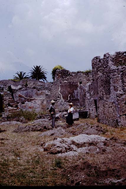 IX.9.6/10 Pompeii. 1964. North-west corner of garden/vineyard. Photo by Stanley A. Jashemski.
Source: The Wilhelmina and Stanley A. Jashemski archive in the University of Maryland Library, Special Collections (See collection page) and made available under the Creative Commons Attribution-Non Commercial License v.4. See Licence and use details.
J64f2046
