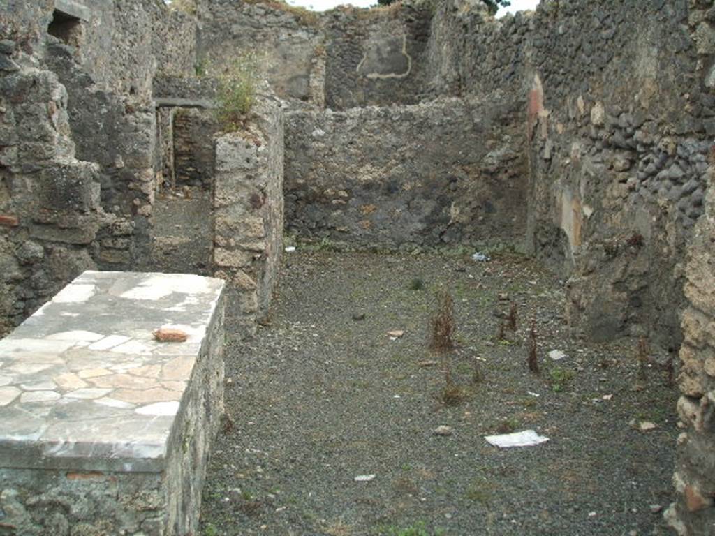 IX.9.8 Pompeii. May 2005.  Looking south across bar-room to rear room. According to NdS, opposite the entrance opened the rear-room intended for the customers. On the right pilaster of the doorway to this room, a figure of Mercury (0.62 high) was found painted on a red background. He was shown with wings on his helmet and feet, and a green mantle wrapped around his left arm. In his left hand he held a staff, and in the right hand he held his purse. At his feet was a cockerel in the act of crowing. The figure of the cockerel was not without grace. The room was decorated with red and yellow panels, and in the rear ,south wall, was observed a painting (0.84 high x 0.33 wide) showing the three graces.
The painting was found largely destroyed.
See Notizie degli Scavi, 1889, p.126
Items found in this rear room included a bronze corroded Imperial coin, a bronze ornamental head of a tiger, and an iron hoe.
See Notizie degli Scavi, 1888, p.523
