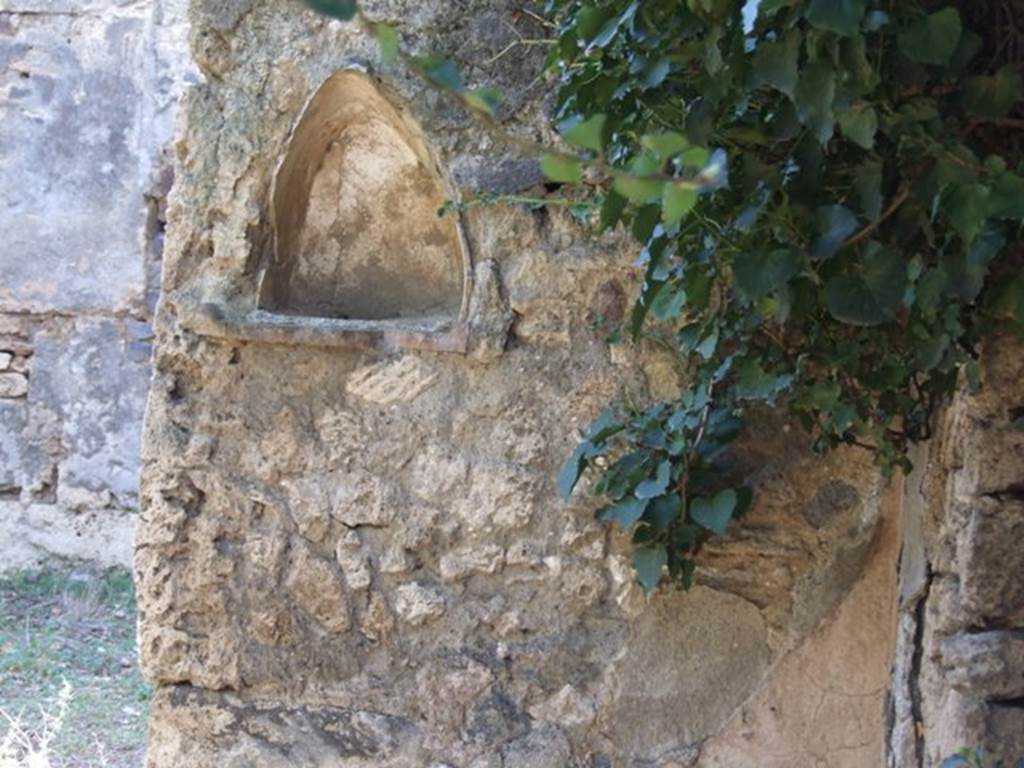 IX.9.11 Pompeii.  March 2009.  West wall of atrium, between doorways to Rooms 6 and 5.