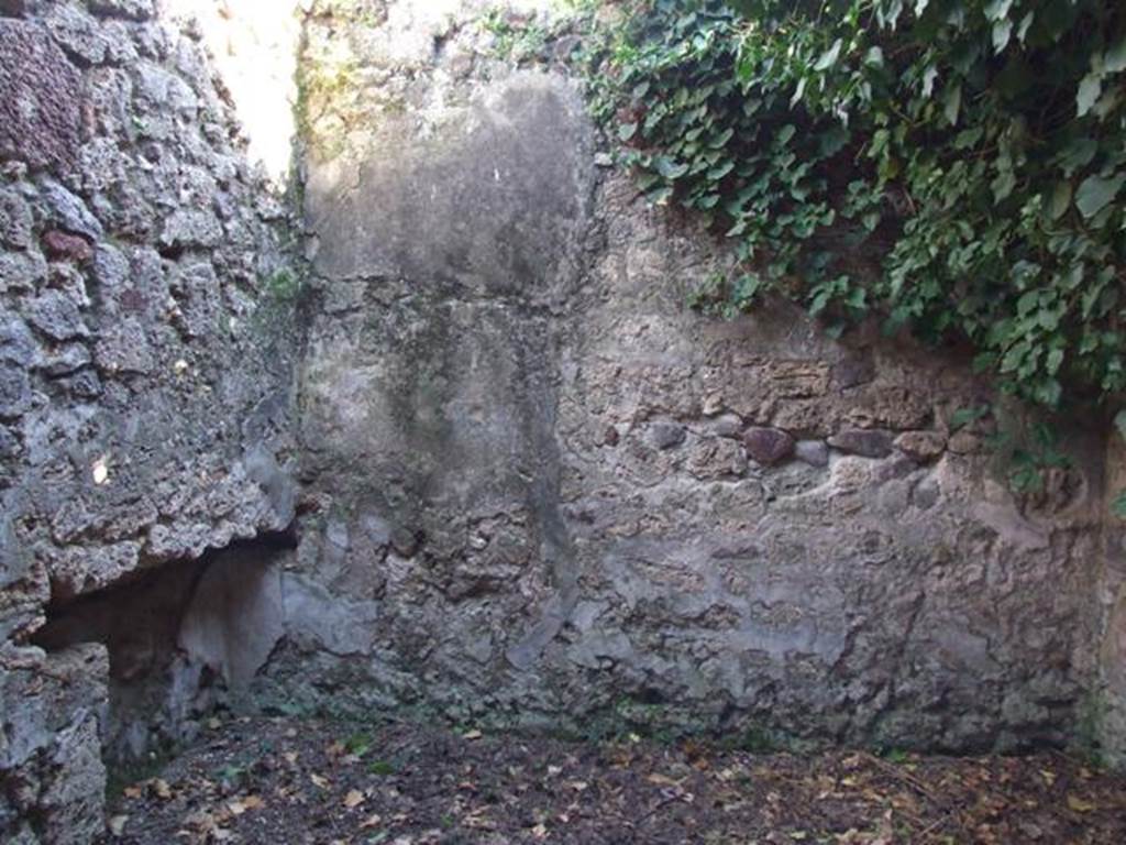 IX.9.11 Pompeii. March 2009. Room 3, recess in south-east corner, and south wall of cubiculum.