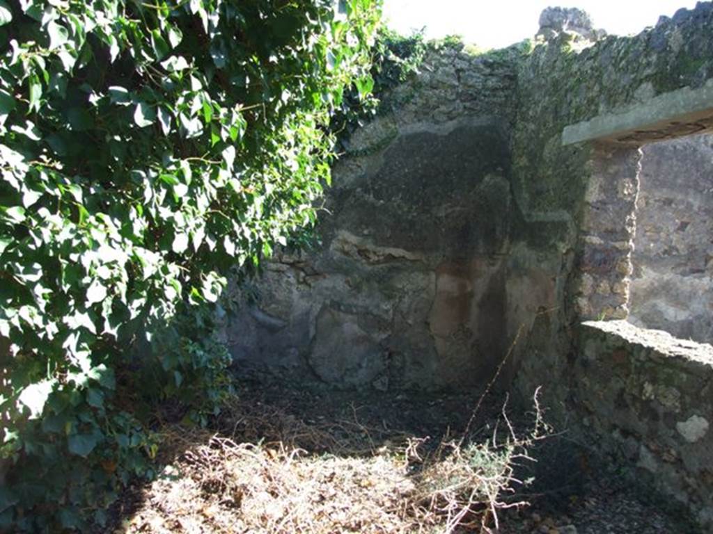 IX.9.11 Pompeii.  March 2009.  Room 4. Tablinum with window to garden in west wall.