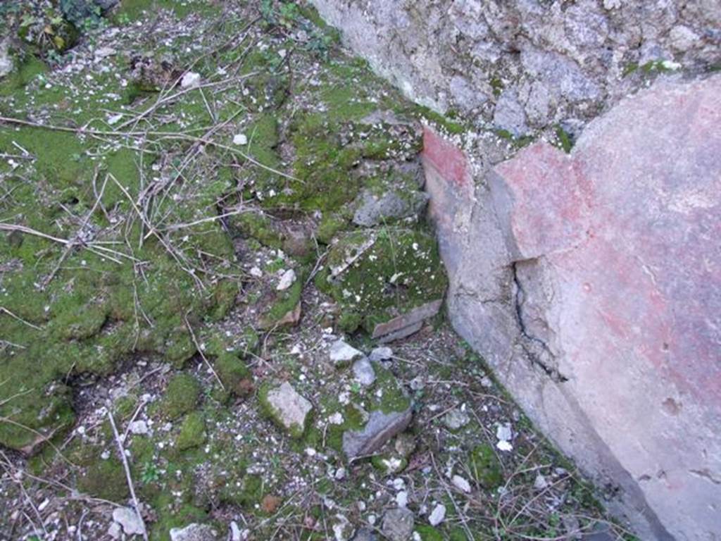 IX.9.d Pompeii. March 2009. Room k, remains of painted plaster near south-west corner of hearth in kitchen.