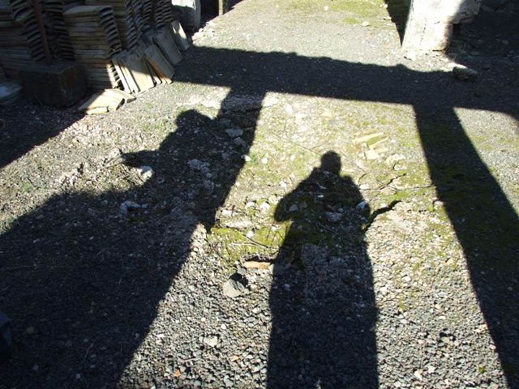 IX.9.d Pompeii. March 2009. Atrium b, floor with remains of impluvium. According to NdS, the floor was of signinum, the walls were painted with a black background, but they were in a very bad state.
