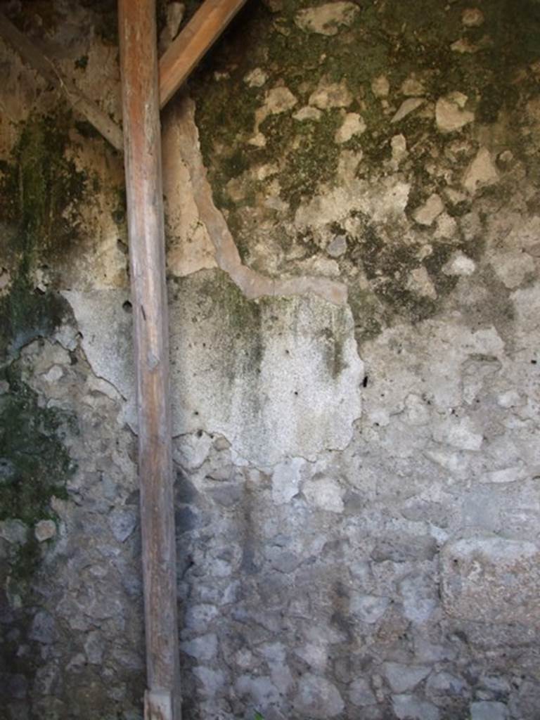 IX.9.f Pompeii.  March 2009. Cubiculum.  West wall.