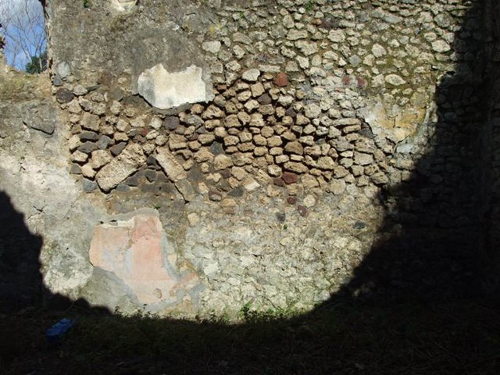 IX.9.g Pompeii.  March 2009.   Triclinium.  East wall..