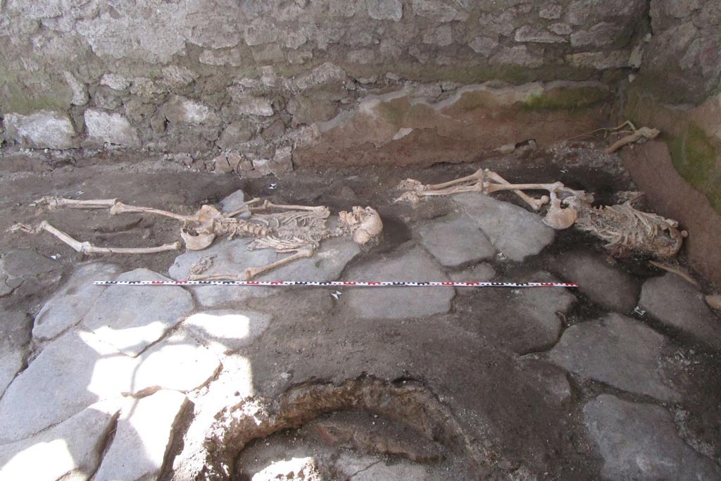 IX.10.1 Pompeii. May 2023. Room 4. Skeletons of individual 1 (left) and individual 2 (right) on the paved floor. 
A circular cut around which the paving stones are arranged, suggests the presence of an original millstone removed in modern times.
IX.10.1 Pompei. Maggio 2023. Camera 4. Scheletri dell'individuo 1 (a sinistra) e dell'individuo 2 (a destra) sulla pavimentazione.
Un taglio circolare attorno al quale sono disposte le pietre, suggerisce la presenza di una macina originale rimossa in tempi moderni.
Photograph © Parco Archeologico di Pompei.
Vedi/See Ri-scavare Pompei: nuovi dati interdisciplinari dagli ambienti indagate a fine ‘800 di Regio IX, 10.1.4. E-journal 2, Scavi di Pompeii, 29.5.2023, p. 7ff, fig. 9. E-journal on PAP web site 

