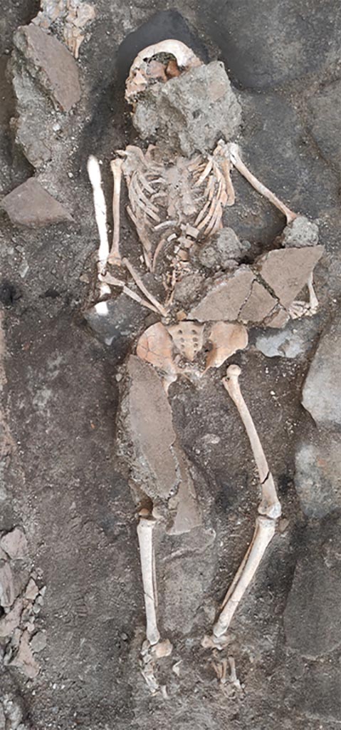 IX.10.1 Pompeii. May 2023. Skeleton of individual 1 with collapsed material covering some parts. 
Individual 1, probably female, lay in dorsal recumbency in direct contact with the paved floor. The skeletonized body was in direct contact with the heavy blocks of the collapsed floor and white pumice lapilli, in the total absence of the ash deposit, probably removed in the previous excavation operations. Four large blocks in particular seem to have had a direct impact on the body, at the level of the skull/cervical spine, right ribcage, left upper limb and right lower limb. The skull was turned to the right side while the spine and ribcage were flattened to less than 2 cm in some points. Near the left hand, in which they were probably held and from which they slipped, two coins were found, probably two asses, whose minting is yet to be precisely identified. It is clear how these indicators, together with the very numerous fractures at the level of almost all of the skeletal elements, are the consequence of the strong traumas on the body of the individual at the time of death, but also of the taphonomic factors which occurred subsequently due to the pressure exerted by the different weights of the overlying elements, together with the irregular profile of the floor level.

IX.10.1 Pompei. Maggio 2023. Scheletro dell'individuo 1 con materiale collassato che copre alcune parti.
L’individuo 1, di probabile sesso femminile, giaceva in decubito dorsale a diretto contatto con la pavimentazione basolata. Il corpo scheletrizzato era a diretto contatto con i pesanti blocchi del solaio collassato e lapilli pomicei bianchi, in totale assenza del deposito cineritico, verosimilmente asportato nelle operazioni di scavo precedenti. Quattro grandi blocchi in particolare sembrano avere avuto un impatto diretto con il corpo, a livello di cranio/rachide cervicale, emicostato destro, arto superiore sinistri e arto inferiore destro. Il cranio era voltato sul lato destro mentre la colonna e la cassa toracica, erano appiattiti fino a misurare in alcuni punti meno di 2 cm. Vicino alla mano sinistra, in cui erano probabilmente trattenute e da cui sono scivolate, sono state rinvenute due monete, verosimilmente due assi, il cui conio è ancora da identificare con precisione. È chiaro come tali indicatori, insieme alle numerosissime fratture a livello della quasi totalità degli elementi scheletrici, siano conseguenza dei forti traumi sul corpo dell’individuo al momento della morte, ma anche dei fattori tafonomici intervenuti successivamente a causa della pressione esercitata dal peso differenziato degli elementi sovrastanti, unitamente al profilo irregolare del piano pavimentale.

Photograph © Parco Archeologico di Pompei.
Vedi/See Ri-scavare Pompei: nuovi dati interdisciplinari dagli ambienti indagate a fine ‘800 di Regio IX, 10.1.4. E-journal 2, Scavi di Pompeii, 29.5.2023, p. 7-8, fig. 10. E-journal on PAP web site 
