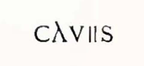 IX.10.2 Pompeii. On the left wall of the corridor near to the tablinum, on the dividing pilaster between the entrances to the two, graffito on red plaster was discovered -

According to Epigraphik-Datenbank Clauss/Slaby (See www.manfredclauss.de) this read

Caves    [CIL IV 5343]

(see also Bull.1890, vol. V, (p.259, II).
