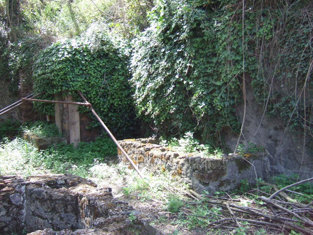 IX.10.2 Pompeii. May 2006. Rectangular water basin (right) on west wall of atrium 2.
There is a laundry set up in the atrium of house number two, with work benches and tubs far washing and dying clothes.
See PAP New excavations in Regio IX 

Si tratta di una fullonica (lavanderia) impiantata nell'atrio dell'abitazione al civico 2, con banconi da lavoro e vasche per il lavaggio e la tintura degli abiti.
Vedi PAP Nuovi scavi della Regio IX 
