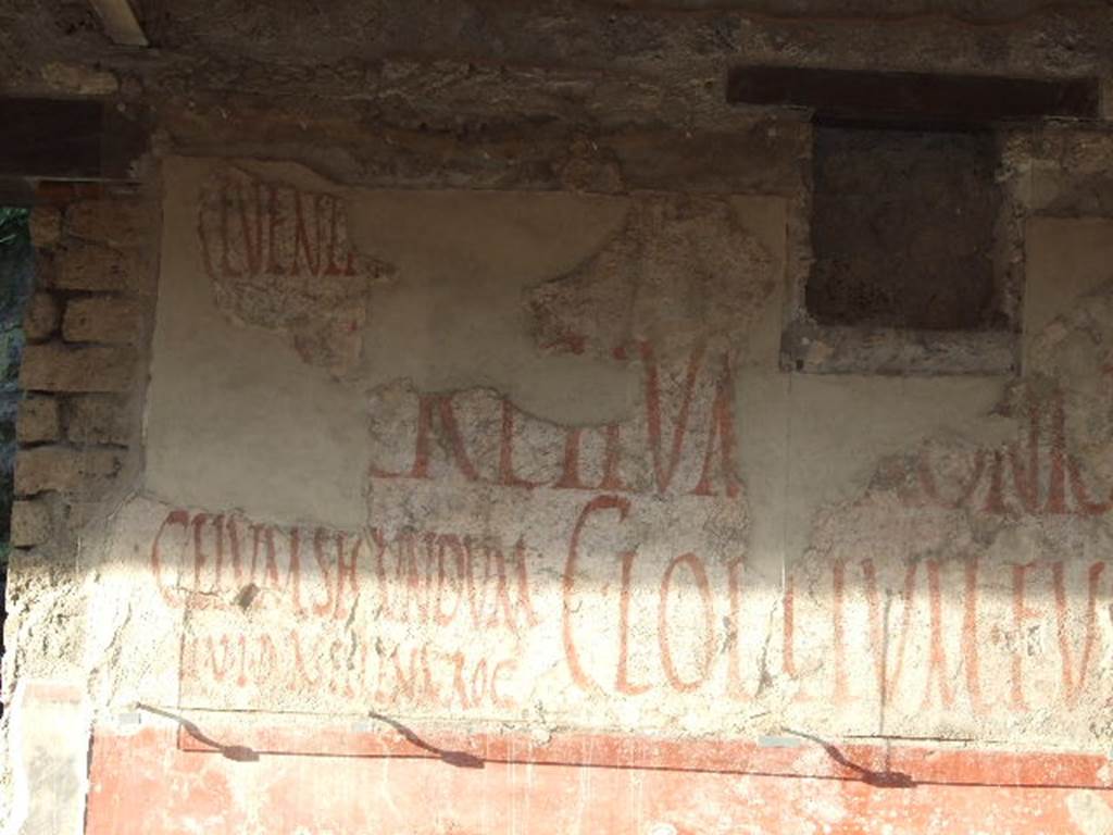 IX.11.3 and IX.11.4 Pompeii. Graffiti between entrances 3 and 4.