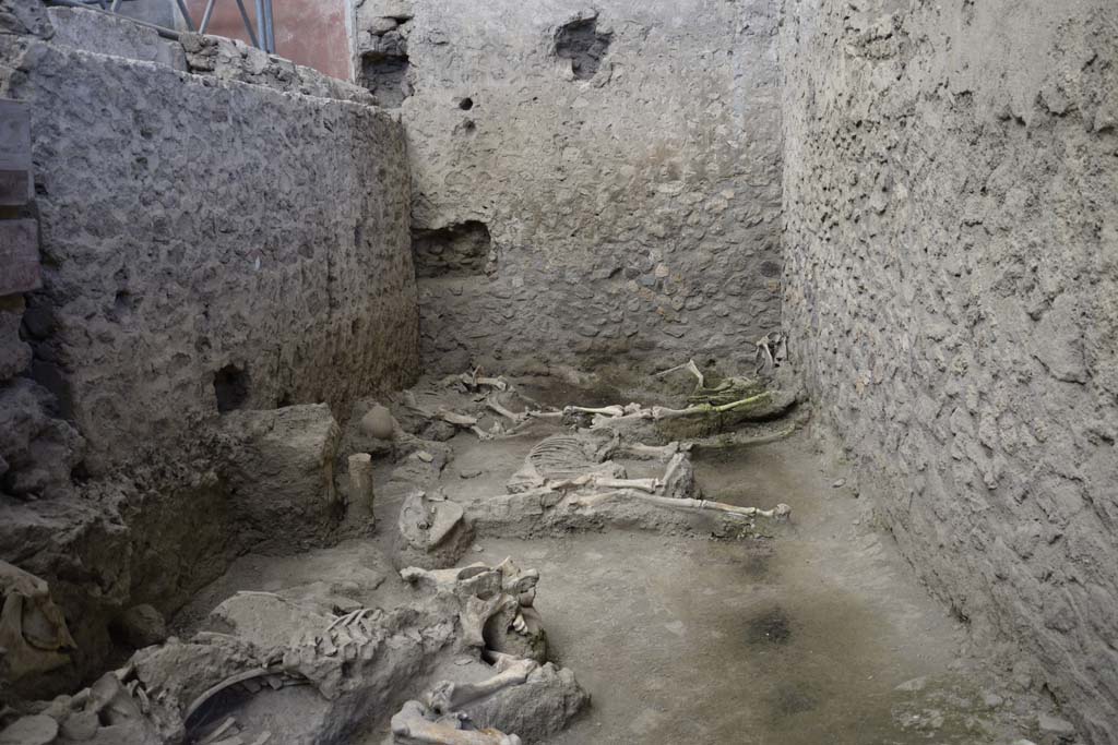 IX.12.8 Pompeii. February 2017. Looking towards north end of stable. Photo courtesy of Johannes Eber.