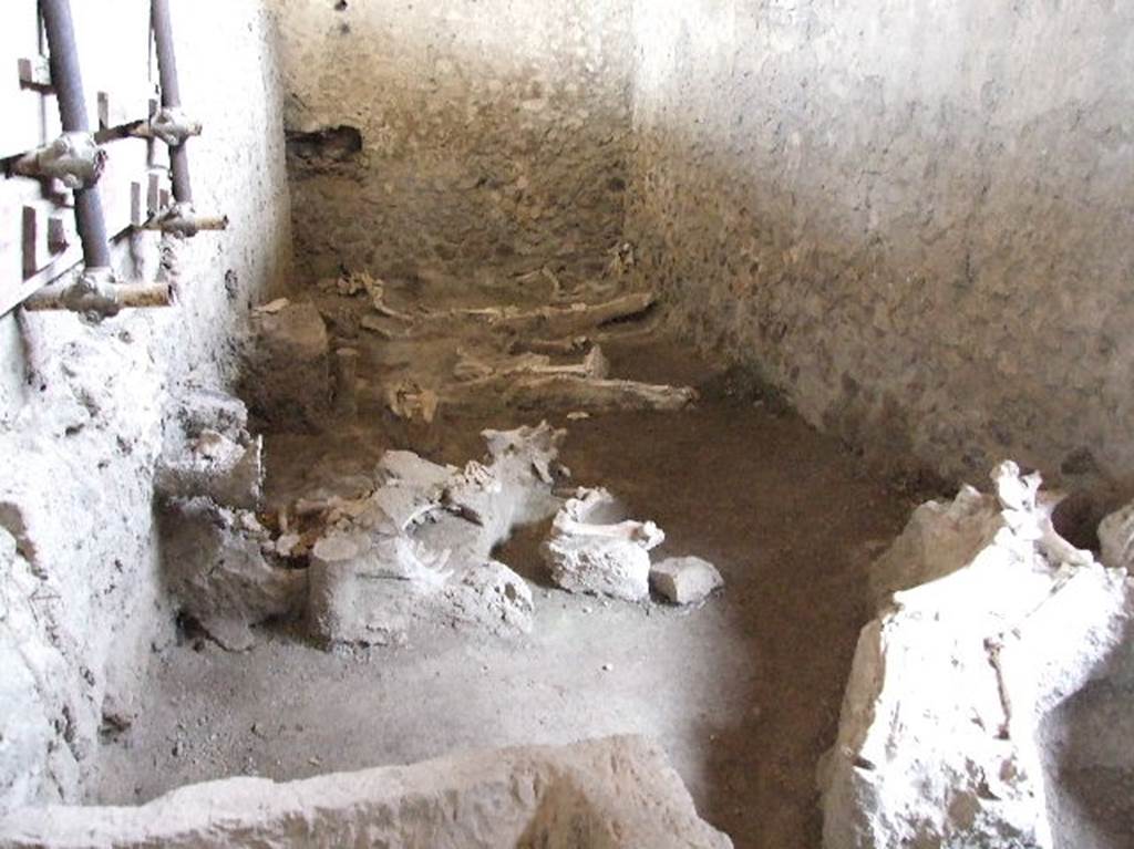 IX.12.8 Pompeii. December 2006. View of stable and skeletons, looking north.