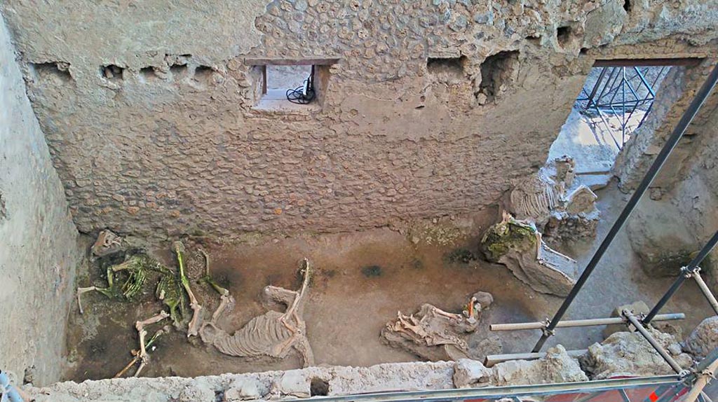 IX.12.8 Pompeii. 2016/2017. Looking east across stable, from above. Photo courtesy of Giuseppe Ciaramella.