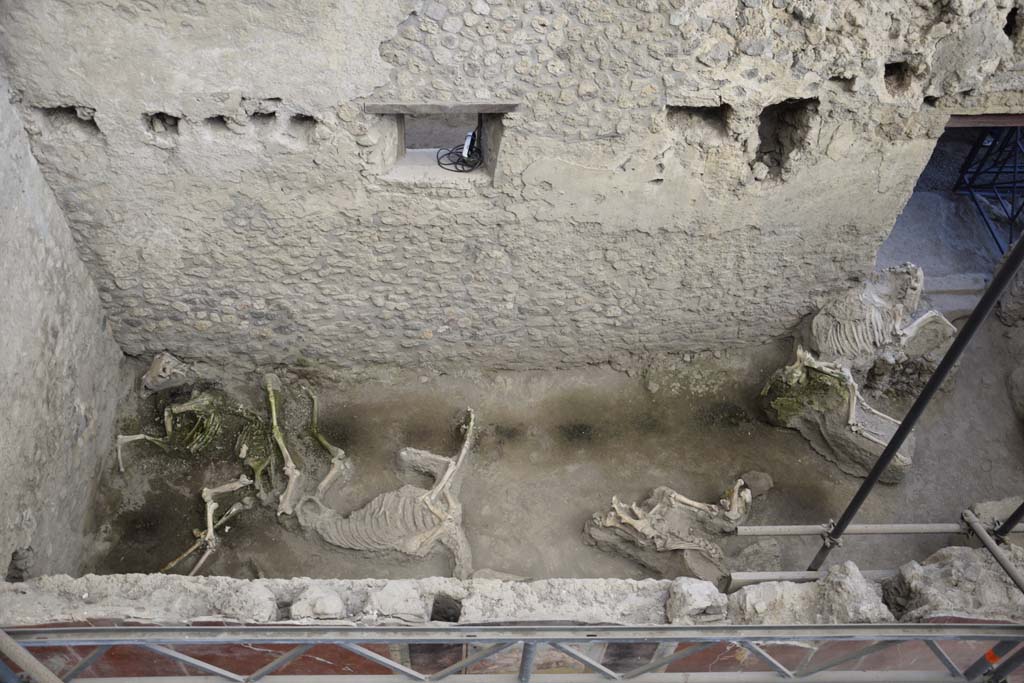 IX.12.8 Pompeii. February 2017. Looking east across stable, from above. Photo courtesy of Johannes Eber.