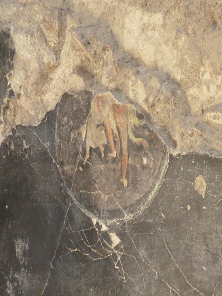 IX.12.9 Pompeii. May 2010. Room “u”, east end of south wall, painted floating figures.