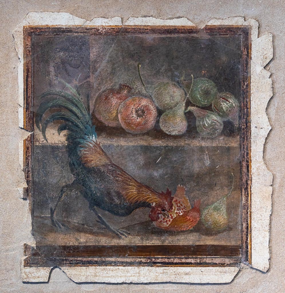 IX 12,9 Pompeii. January 2024. 
Wall painting of chicken and fruit, from so-called room 16, east wall. PAP inv. 86719. Photo courtesy of Johannes Eber.
