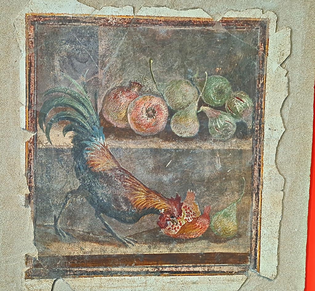 IX 12,9 Pompeii. March 2024. Wall painting showing cockerel, pomegranates, pears and figs. PAP inv. 86719.
On display in exhibition “L’altra Pompei, vite comuni all’ombra del Vesuvio” (“The other Pompeii, common lives in the shadow of Vesuvius.”)
Photo courtesy of Giuseppe Ciaramella.

