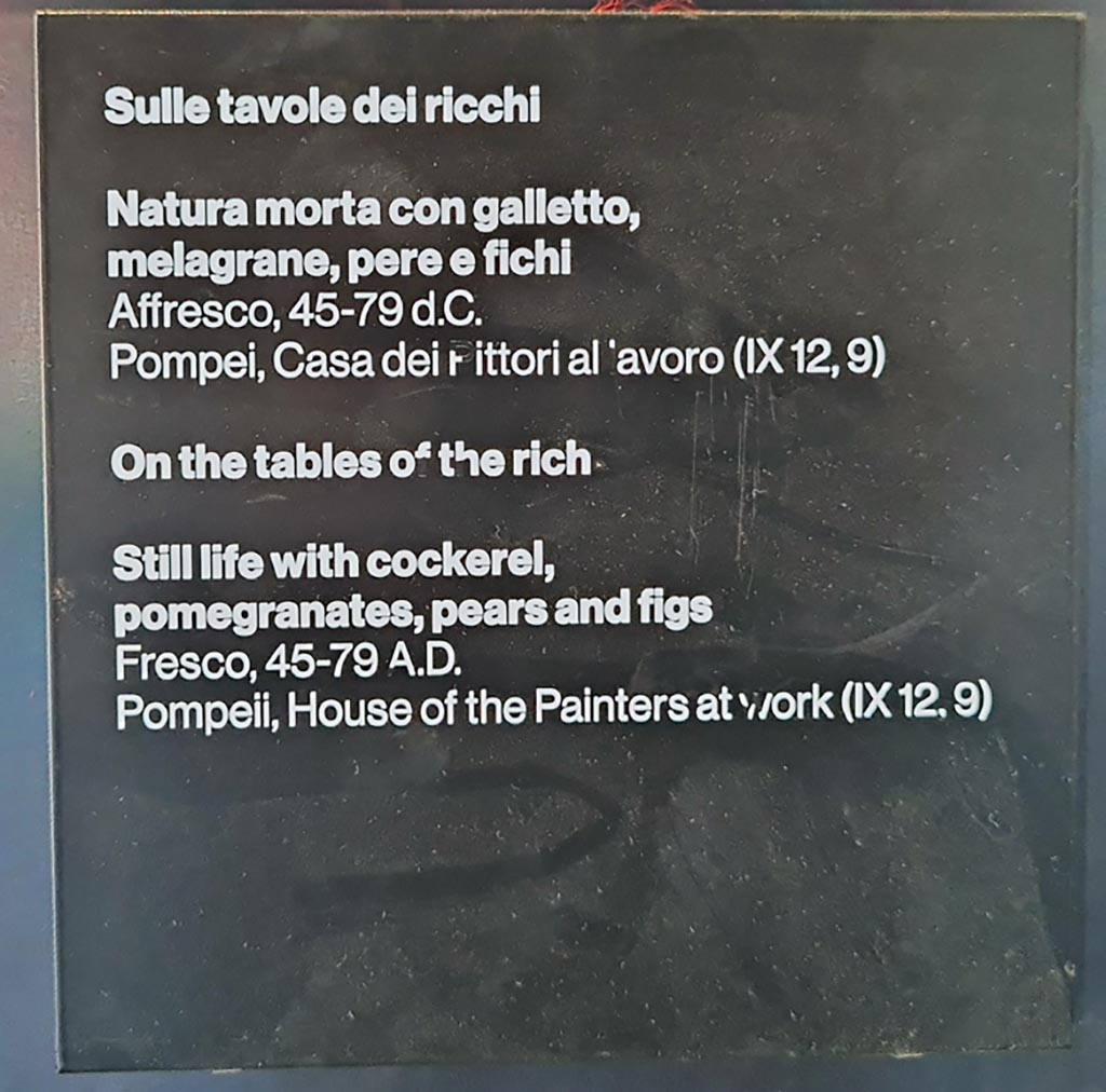 IX.12.9 Pompeii. March 2024. Description card from exhibition entitled - 
“L’altra Pompei, vite comuni all’ombra del Vesuvio” (“The other Pompeii, common lives in the shadow of Vesuvius.”)
From 15th December 2023 until 15th December 2024. Photo courtesy of Giuseppe Ciaramella.
