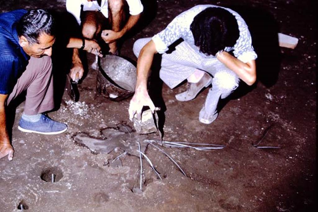 IX.13.1-3 Pompeii, 1973. Filling the cavity. Photo by Stanley A. Jashemski. 
Source: The Wilhelmina and Stanley A. Jashemski archive in the University of Maryland Library, Special Collections (See collection page) and made available under the Creative Commons Attribution-Non Commercial License v.4. See Licence and use details. J73f0531
