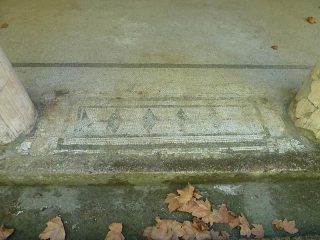 Villa San Marco, Stabiae, September 2015. Mosaic threshold between columns of west portico 3, number 8 of 11