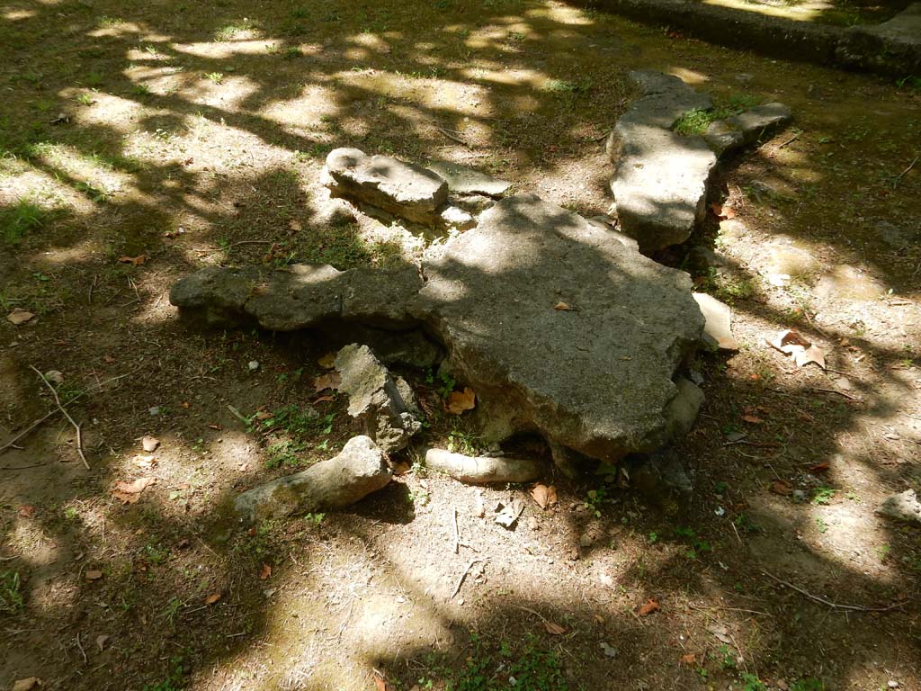 Villa San Marco, Stabiae, June 2019. Garden area 9, cast of tree-root on west side of pool. 
Photo courtesy of Buzz Ferebee
