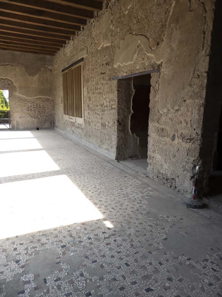 Villa of Mysteries, Pompeii. September 2017. Portico P1, looking west along north wall.
Foto Annette Haug, ERC Grant 681269 DÉCOR.

