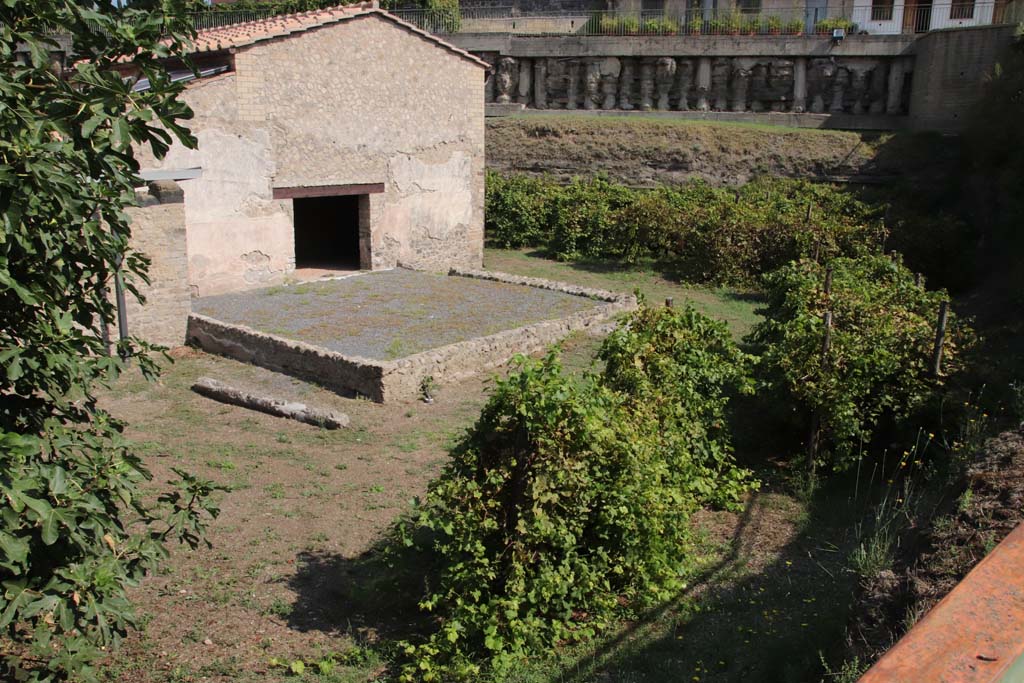 Villa Regina, Boscoreale. September 2021. 
Looking north along east side towards threshing terrace XVII, and doorway into room VIII, the barn. Photo courtesy of Klaus Heese.

