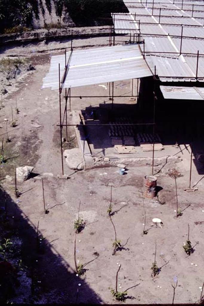 Villa Regina, Boscoreale. 1983. Looking south along east side, with threshing terrace XVII, and newly planted vines. 
Source: The Wilhelmina and Stanley A. Jashemski archive in the University of Maryland Library, Special Collections (See collection page) and made available under the Creative Commons Attribution-Non Commercial License v.4. See Licence and use details. Jmit0005
