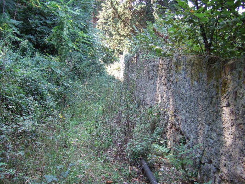 Unnamed vicolo between city walls and south side of I.5. September 2005.
Looking west towards Via Stabiana, from south end of Vicolo del Citarista. 
