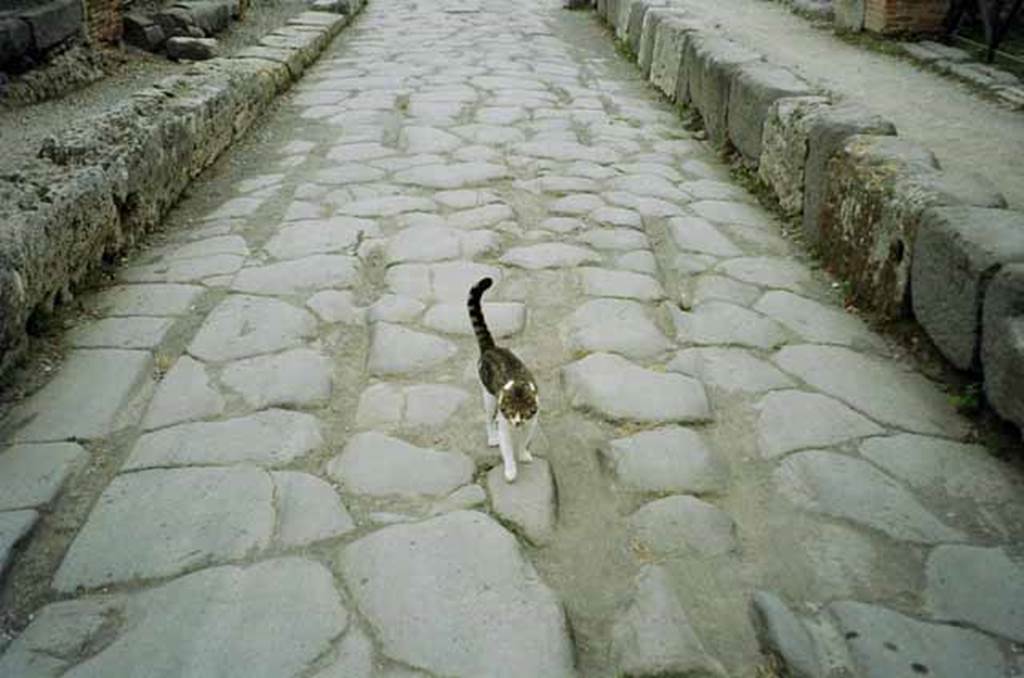 Via Consolare. July 2010. Wheel ruts near VI.3.8. The new owner of the House of Sallust is heading north for home. Photo courtesy of Rick Bauer.