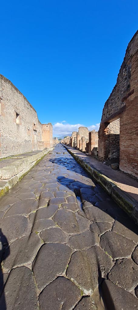 Via Stabiana, April 2022. 
Looking north between VII,1 and IX.1. Photo courtesy of Giuseppe Ciaramella.
