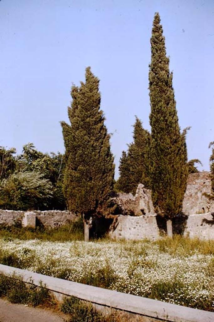 Via dei Sepolcri, (north end). Pompeii. 1964. Area on north side of Villa of Diomedes.
Photo by Stanley A. Jashemski.  
Source: The Wilhelmina and Stanley A. Jashemski archive in the University of Maryland Library, Special Collections (See collection page) and made available under the Creative Commons Attribution-Non Commercial License v.4. See Licence and use details.
J64f1831
