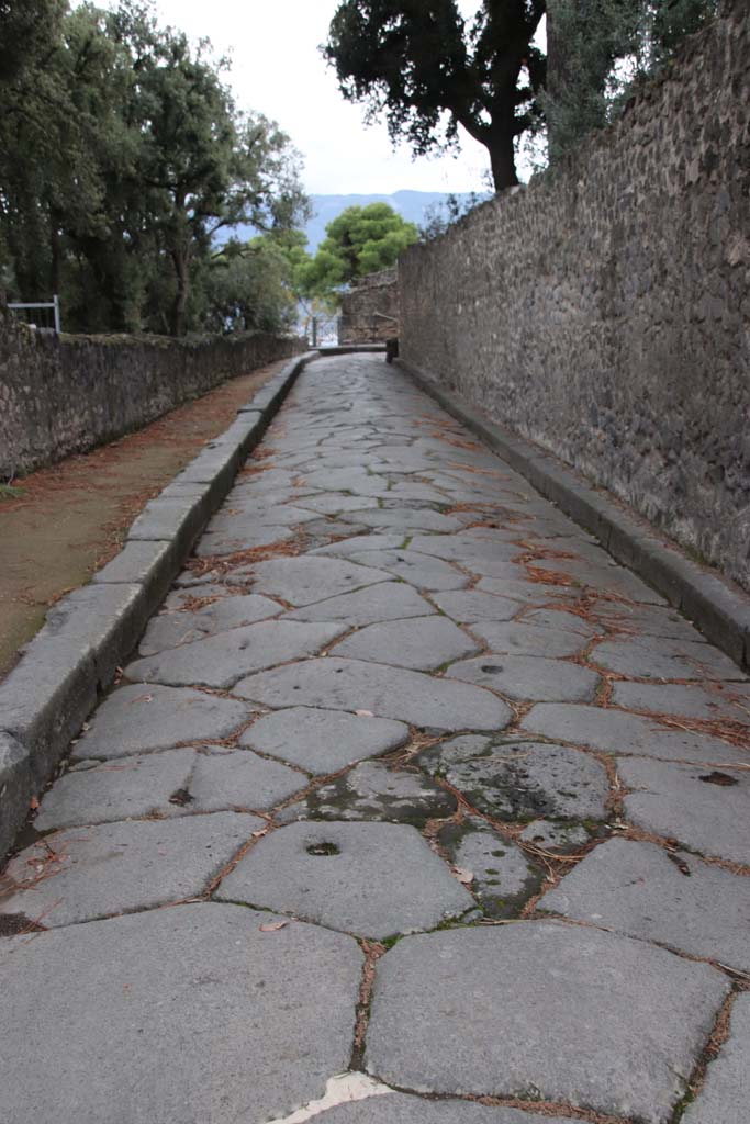 Via dei Teatri between VIII.7 and VIII.6. October 2020. Looking south.
Photo courtesy of Klaus Heese.
